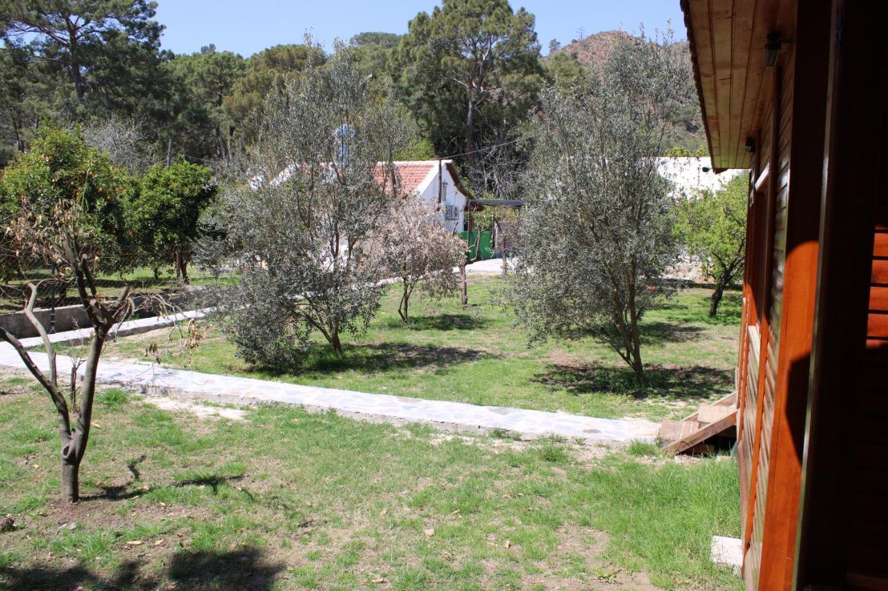شقة Seker Bungalov Çıralı المظهر الخارجي الصورة