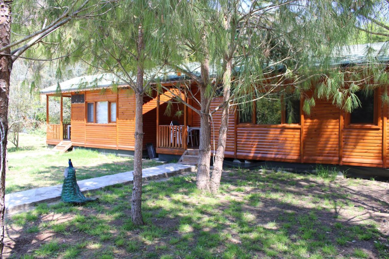 شقة Seker Bungalov Çıralı المظهر الخارجي الصورة