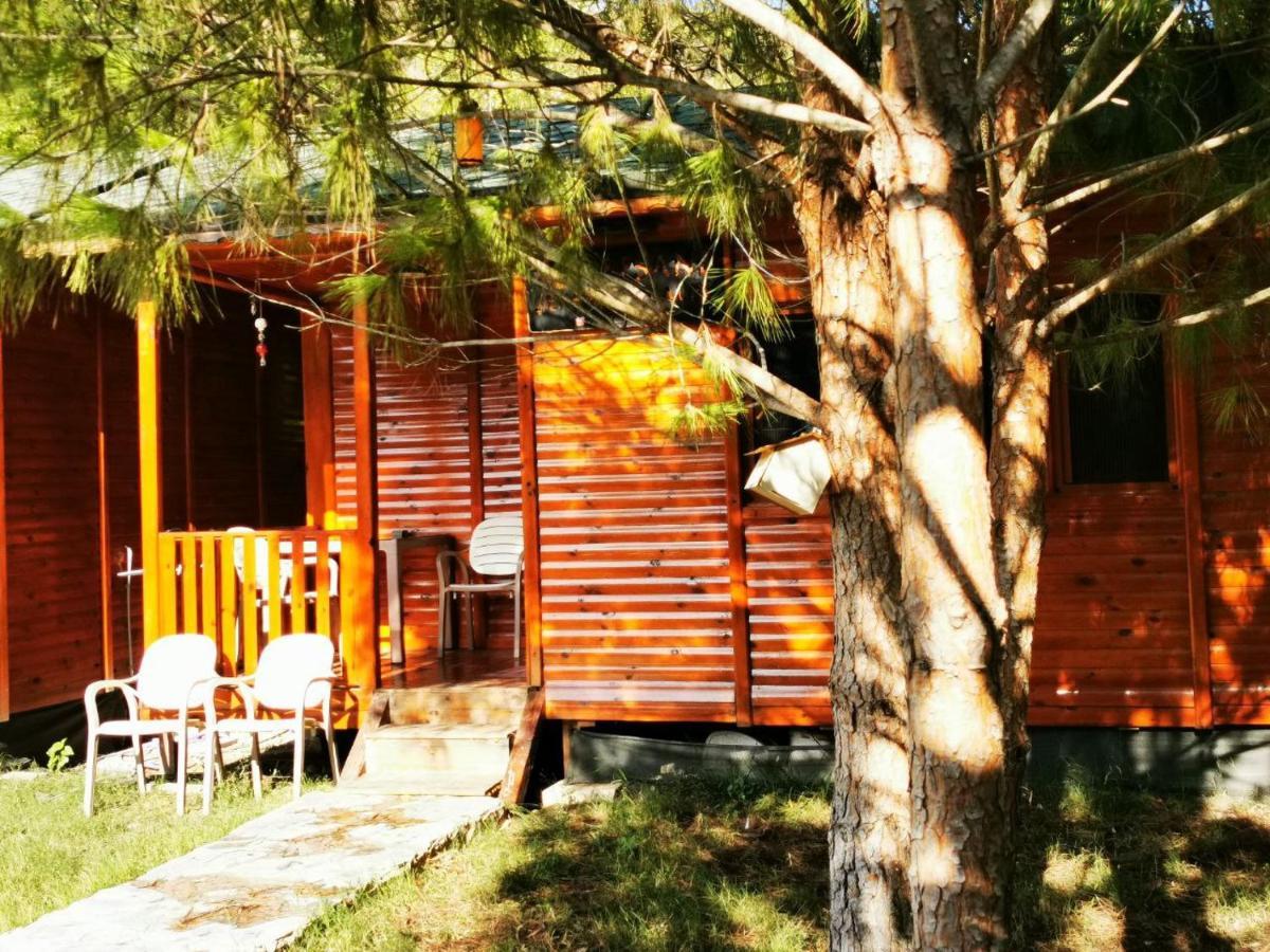شقة Seker Bungalov Çıralı المظهر الخارجي الصورة